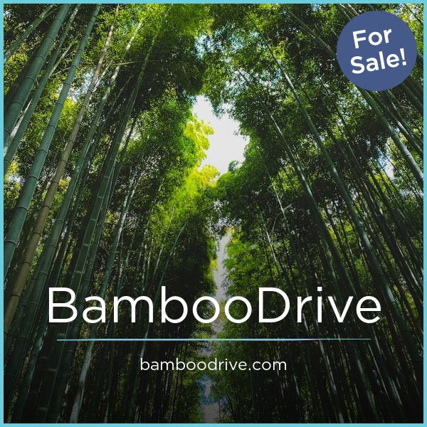BambooDrive.com