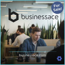 BusinessAce.com - Catchy premium names
