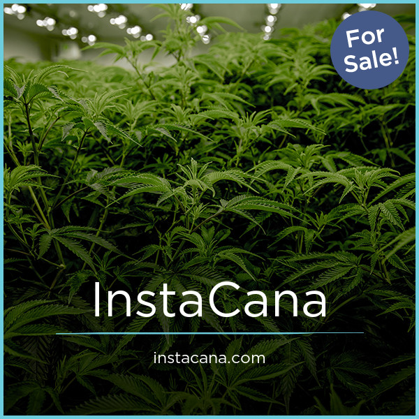 InstaCana.com - New domains for sale