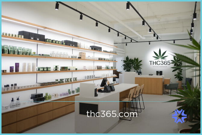 THC365.com