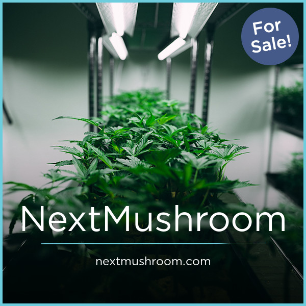 NextMushroom.com - Creative domains for sale