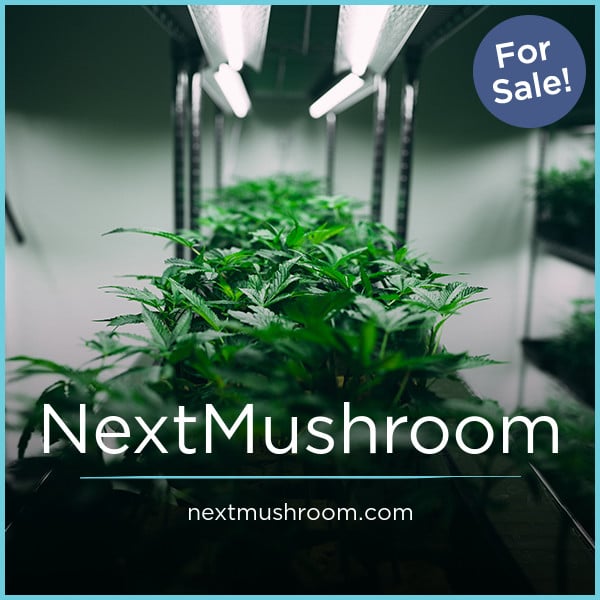 NextMushroom.com image 2