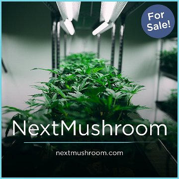 NextMushroom.com