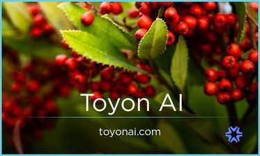 ToyonAI.com