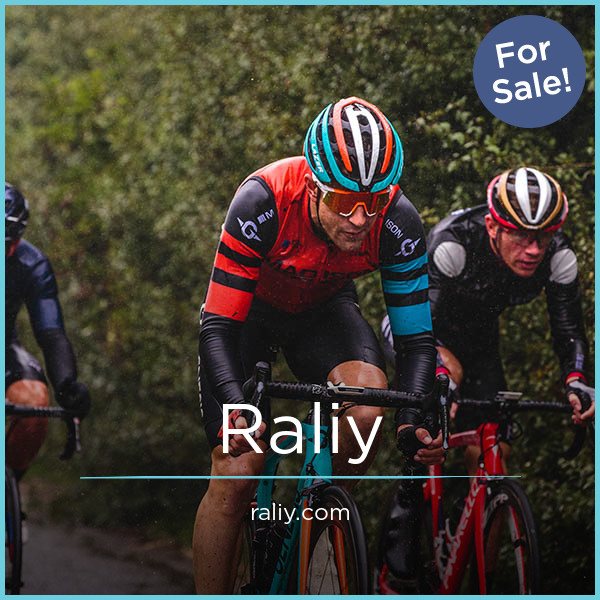 Raliy.com image 2