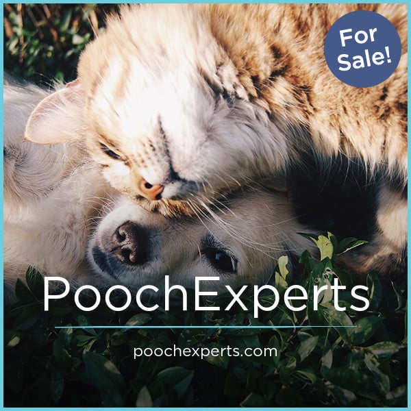 PoochExperts.com — 2