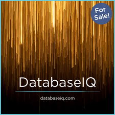 DatabaseIQ.com - buy Best premium domains