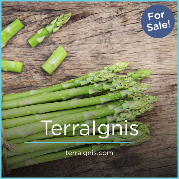 TerraIgnis.com - Good premium domains for sale