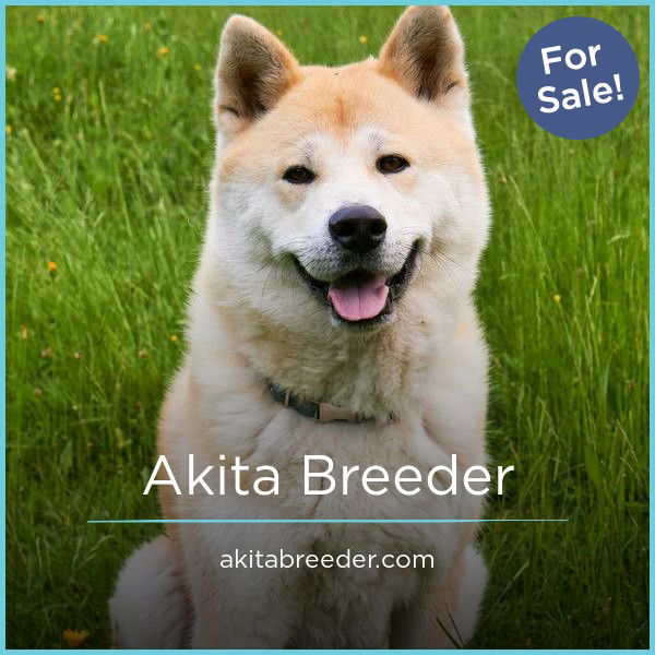 AkitaBreeder.com