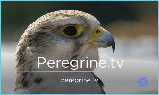 Peregrine.tv
