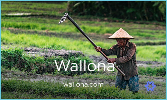 wallona.com — 2