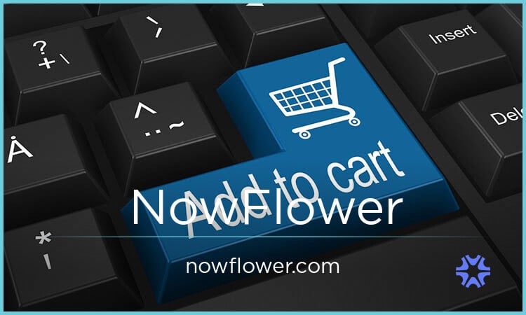 NowFlower.com image 2