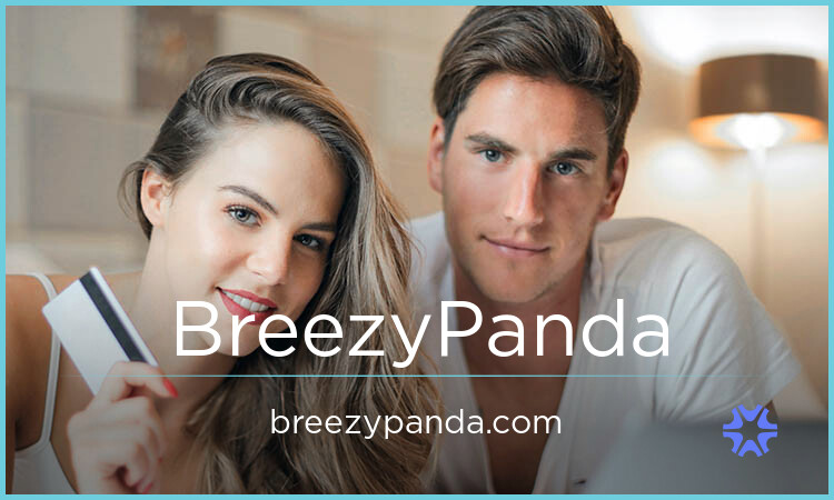 BreezyPanda.com - buy Unique premium domains