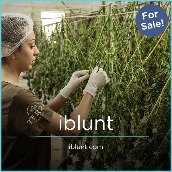 iBlunt.com - Great premium domains