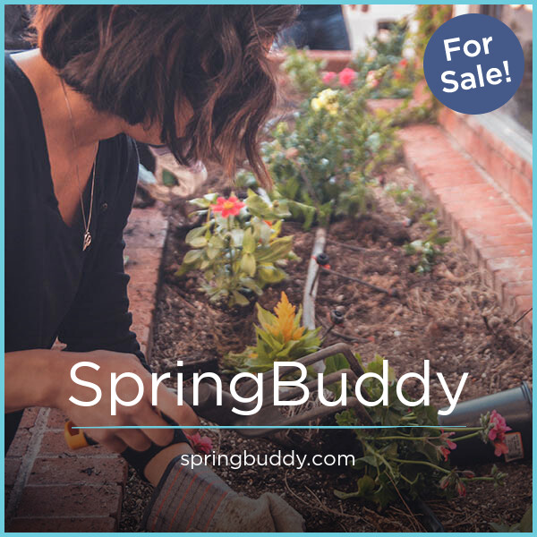 SpringBuddy.com - New premium domain names