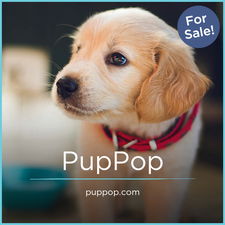 PupPop.com - New premium domain names