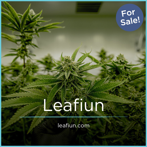 Leafiun.com - Creative premium domain names