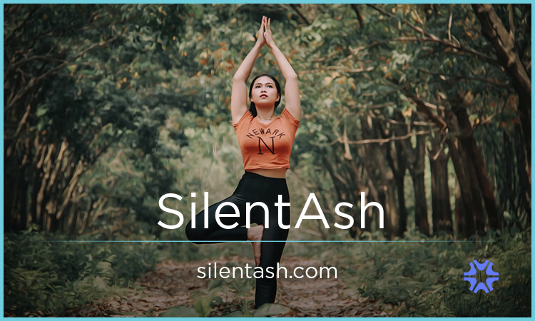 SilentAsh.com image 2