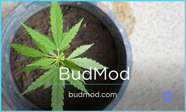 BudMod.com - buy Good premium names