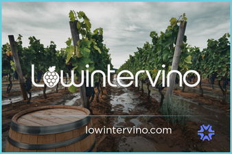 LowIntervino.com is for sale