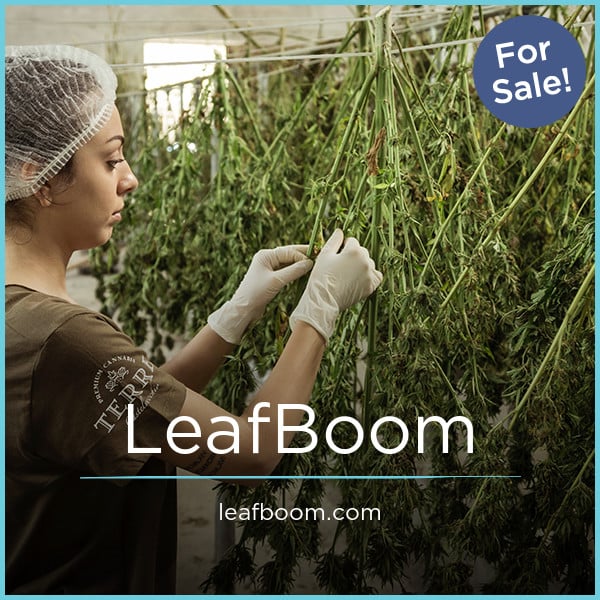 LeafBoom.com image 2