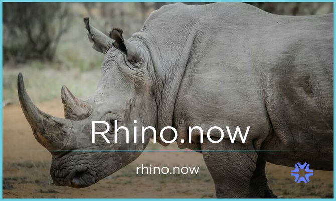 Rhino.now