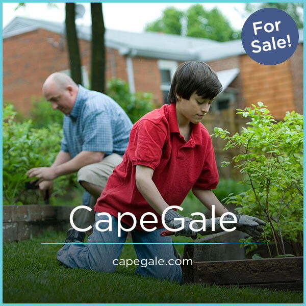 CapeGale.com