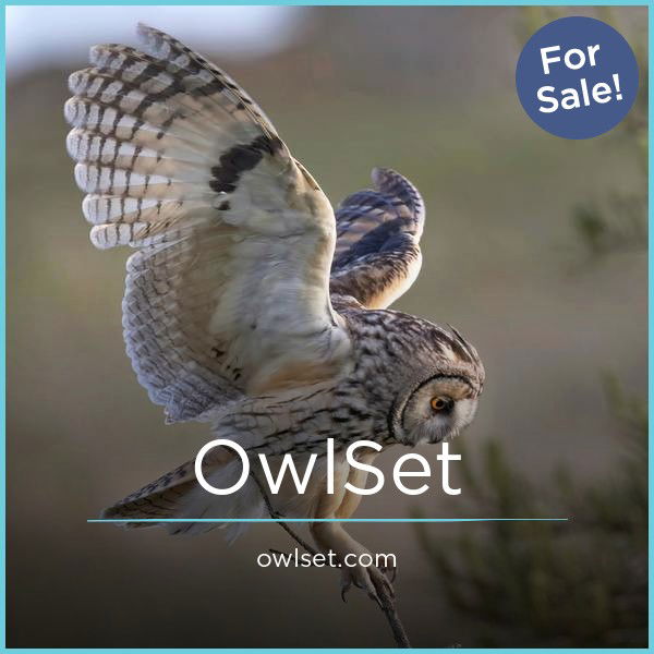 OwlSet.com