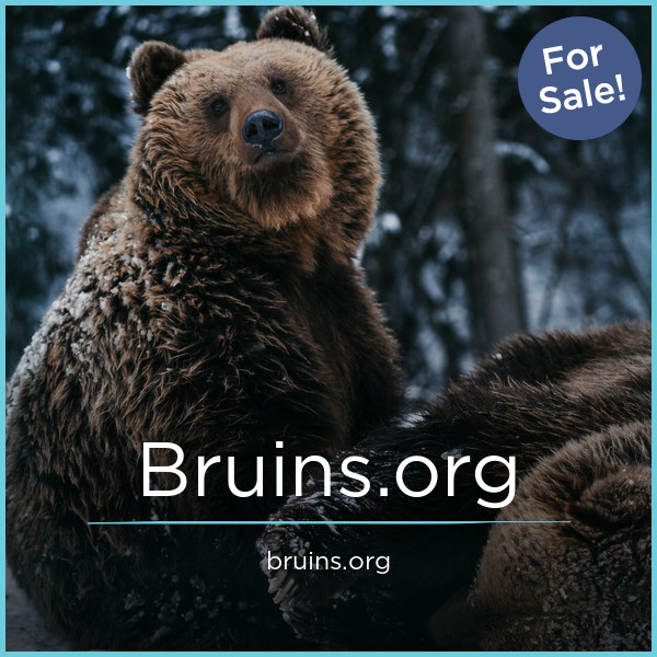 Bruins.org image 2