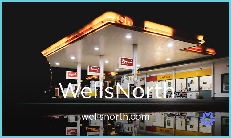 WellsNorth.com - Catchy premium domain marketplace