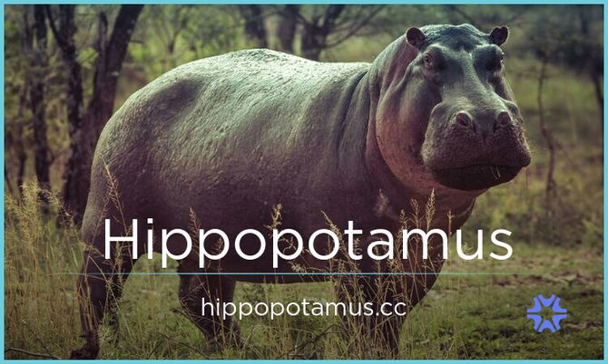 Hippopotamus.cc