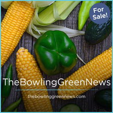 TheBowlingGreenNews.com - Creative brandable domain for sale