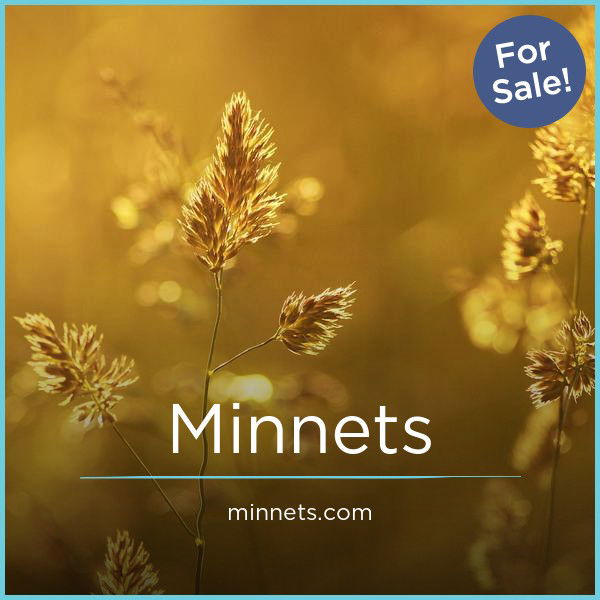 minnets.com