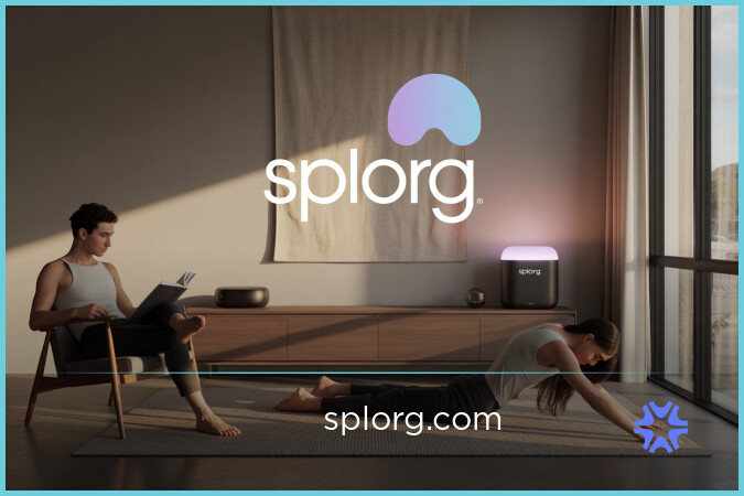 Splorg.com image 2