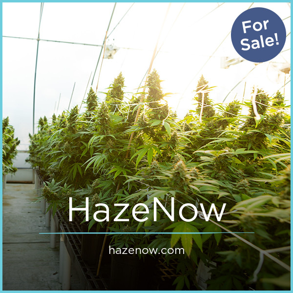 HazeNow.com - Cool domains for sale