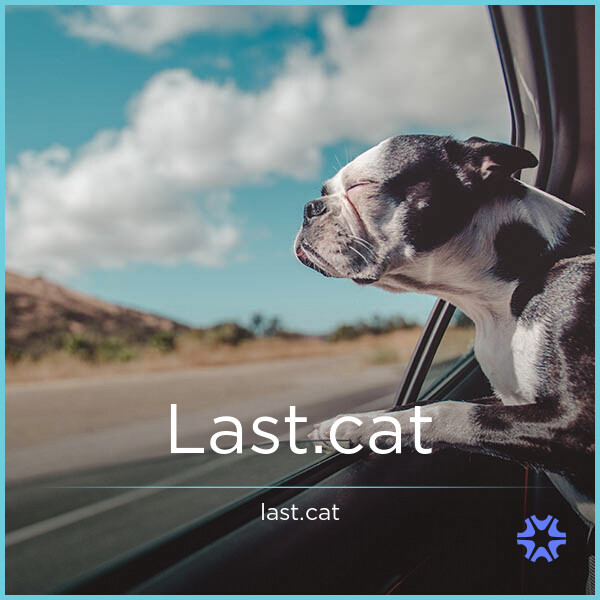 Last.cat image 2