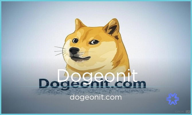 Dogeonit.com