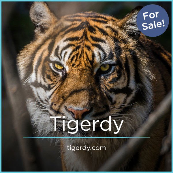 Tigerdy.com