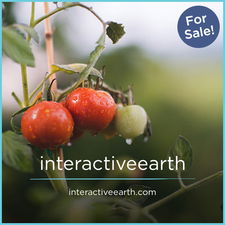InteractiveEarth.com - Creative brandable domain for sale