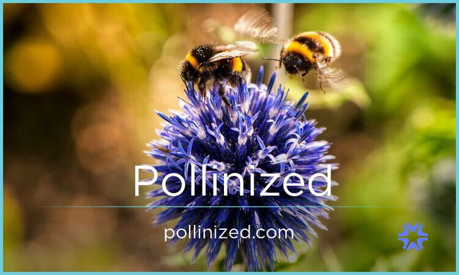 Pollinized.com