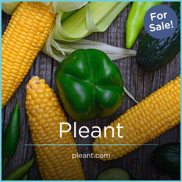 Pleant.com image 2