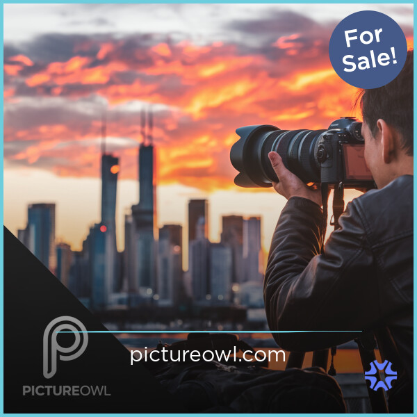 PictureOwl.com - Unique domains for sale