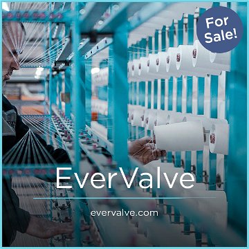 EverValve.com