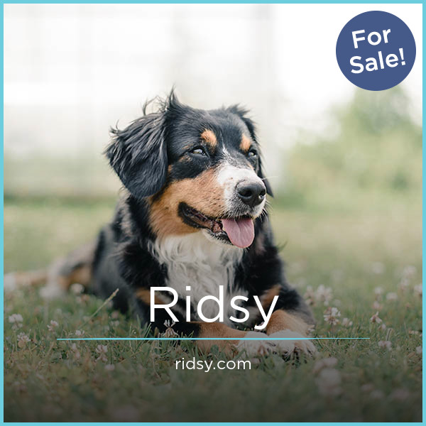 Ridsy.com - Great domains for sale