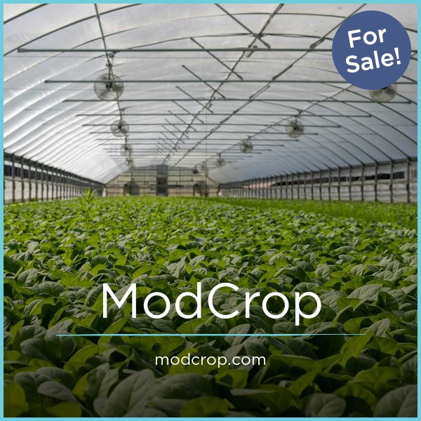 ModCrop.com - buy New premium names