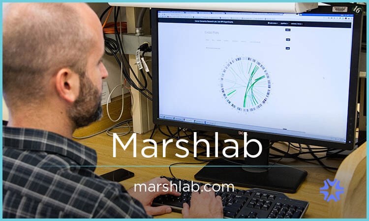 Marshlab.com image 2