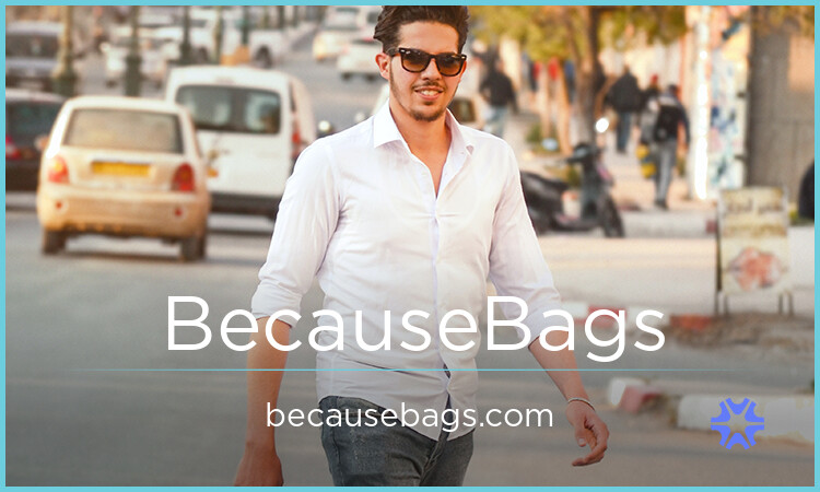 BecauseBags.com image 2