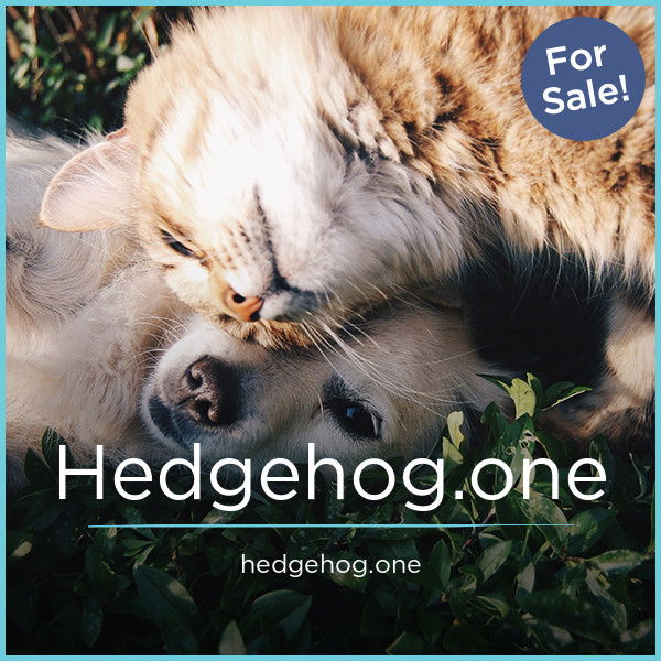 Hedgehog.one