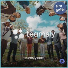Teamsly.com - Creative premium domains