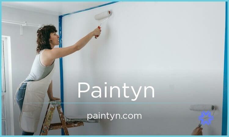 Paintyn.com image 2